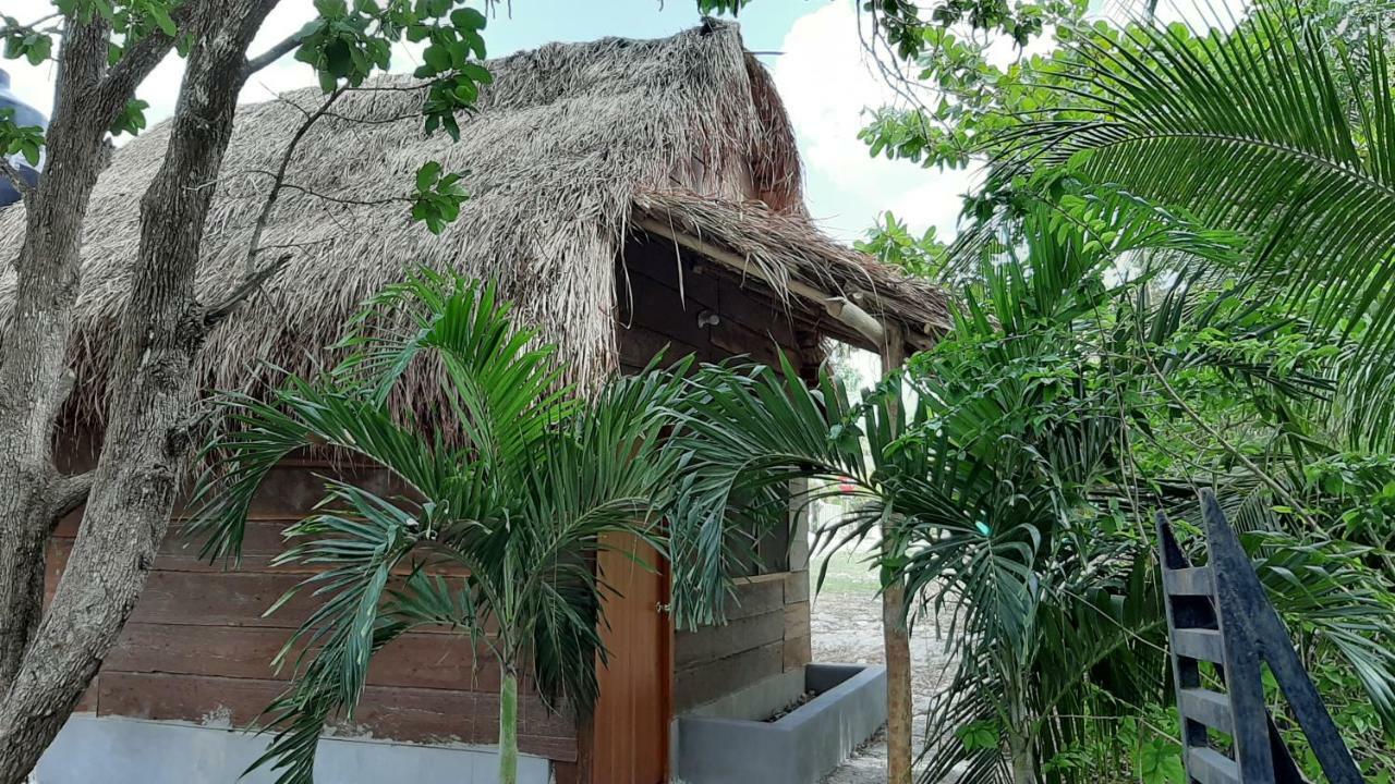 Cabanas Chaac Calakmul Xpujil Luaran gambar